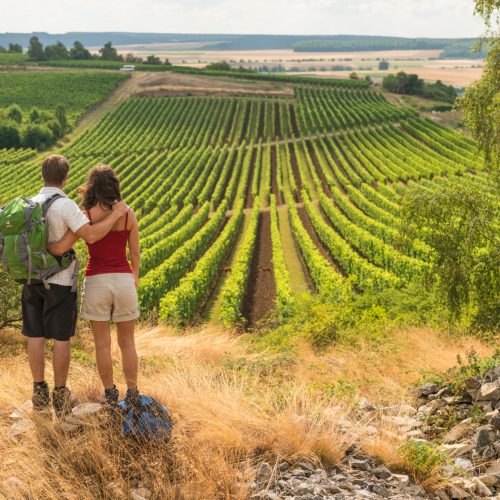 Rückansicht eines Paares, das sich umarmt hält und auf einen Weinberg blickt