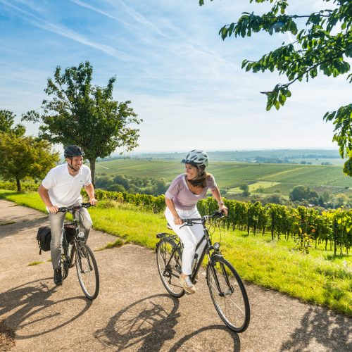 Ein Mann und eine Frau fahren mit dem Fahrrad über einen Weg durch einen Weinberg