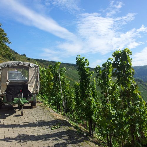 Weinberg, auf dem Weg ein Auto mit Anhänger